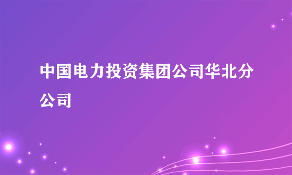 中国电力投资集团公司华北分公司