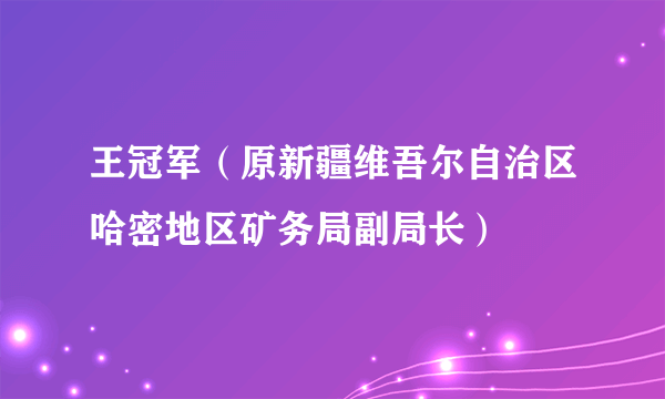 王冠军（原新疆维吾尔自治区哈密地区矿务局副局长）