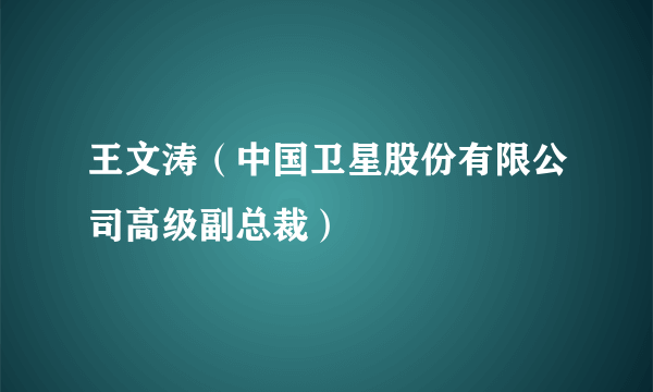 王文涛（中国卫星股份有限公司高级副总裁）