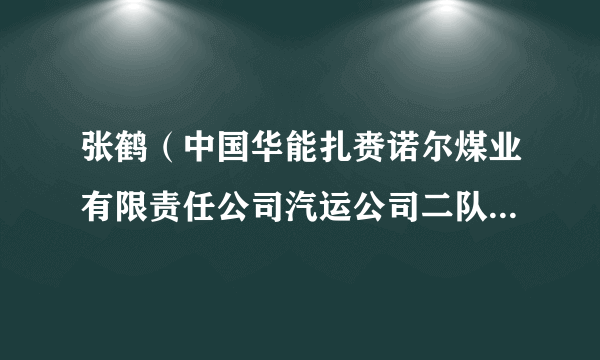 张鹤（中国华能扎赉诺尔煤业有限责任公司汽运公司二队党支部书记兼队长）