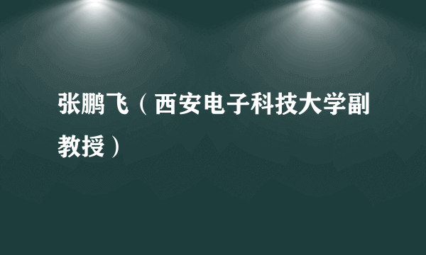 张鹏飞（西安电子科技大学副教授）