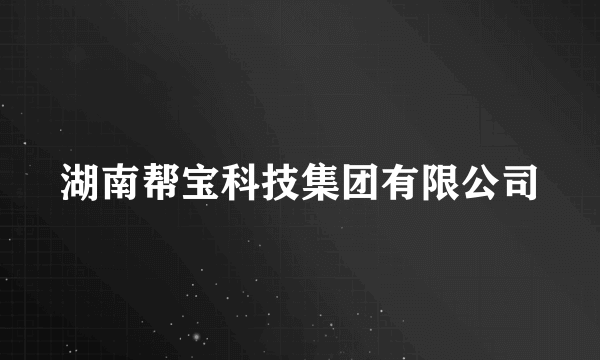 湖南帮宝科技集团有限公司