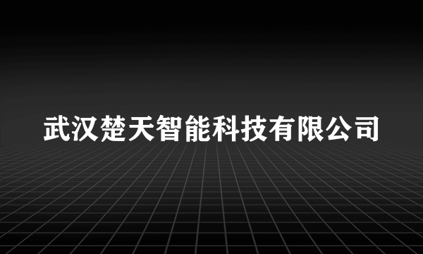 武汉楚天智能科技有限公司