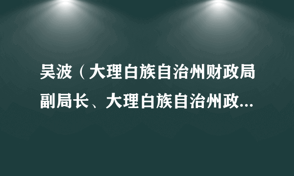 吴波（大理白族自治州财政局副局长、大理白族自治州政府性债务管理委员会办公室副主任）