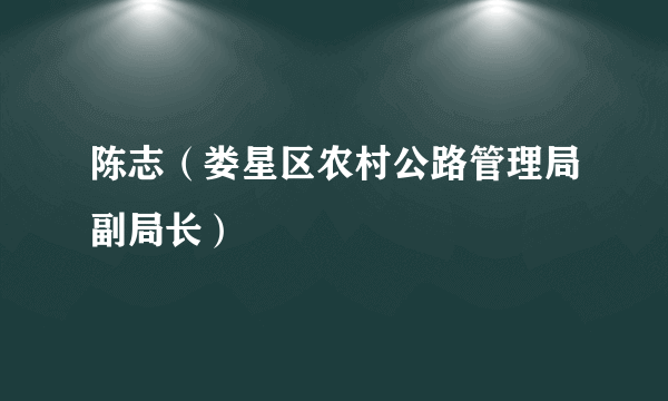 陈志（娄星区农村公路管理局副局长）