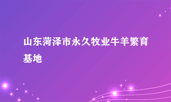 山东菏泽市永久牧业牛羊繁育基地