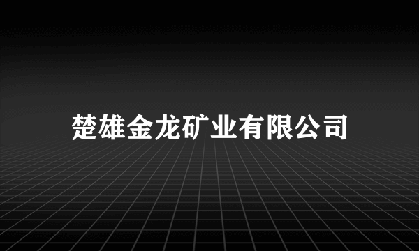 楚雄金龙矿业有限公司