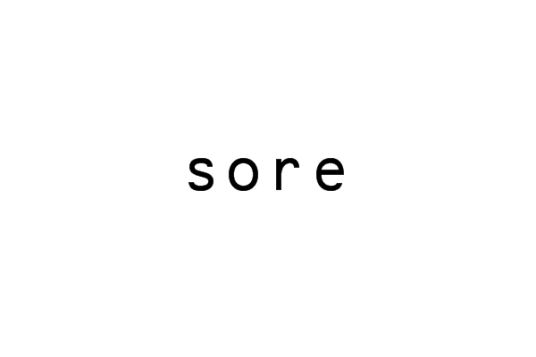 sore（计算机学）