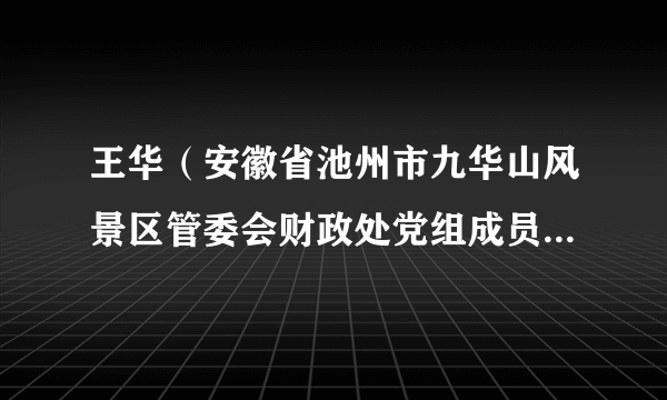 王华（安徽省池州市九华山风景区管委会财政处党组成员、副处长）