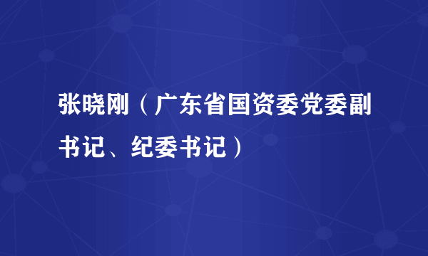 张晓刚（广东省国资委党委副书记、纪委书记）