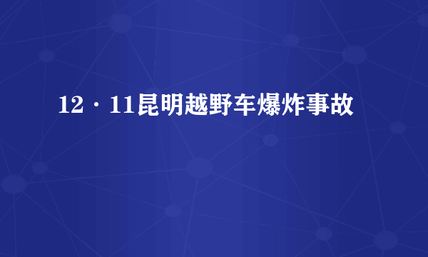 12·11昆明越野车爆炸事故