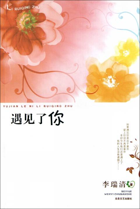 遇见了你（2011年北岳文艺出版社出版的图书）