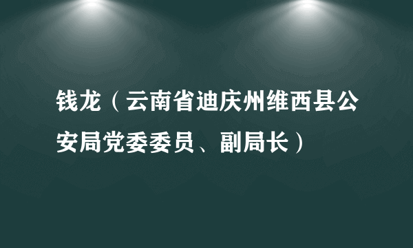 钱龙（云南省迪庆州维西县公安局党委委员、副局长）