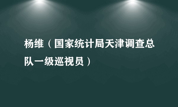 杨维（国家统计局天津调查总队一级巡视员）