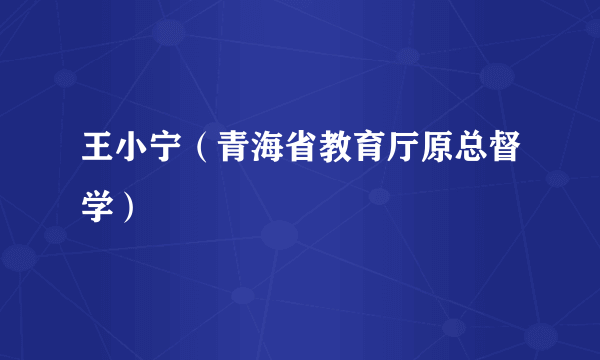 王小宁（青海省教育厅原总督学）