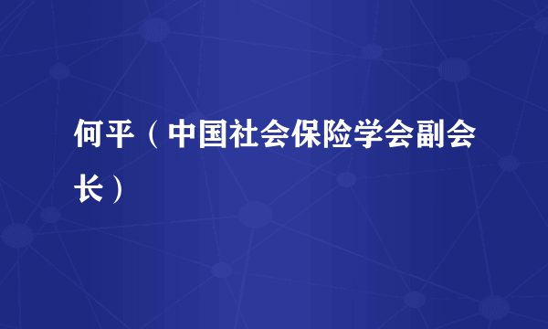 何平（中国社会保险学会副会长）