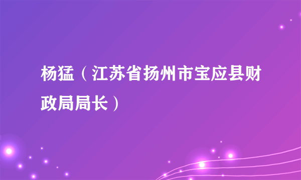 杨猛（江苏省扬州市宝应县财政局局长）