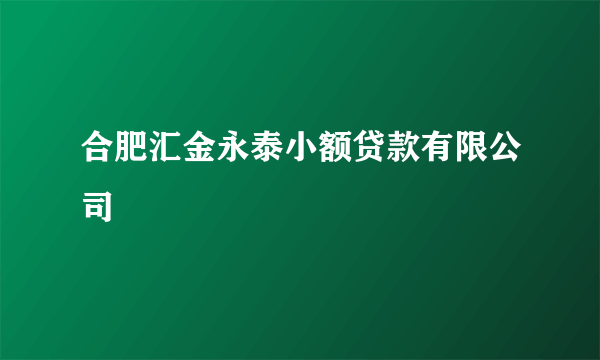 合肥汇金永泰小额贷款有限公司