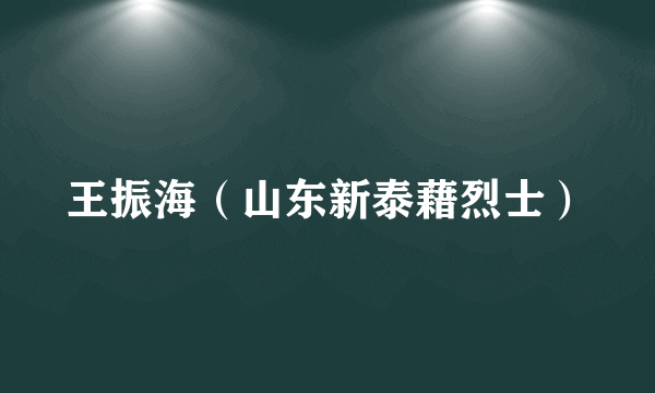 王振海（山东新泰藉烈士）