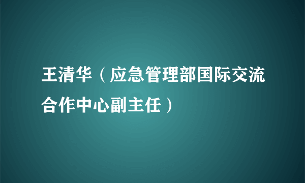 王清华（应急管理部国际交流合作中心副主任）