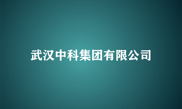 武汉中科集团有限公司