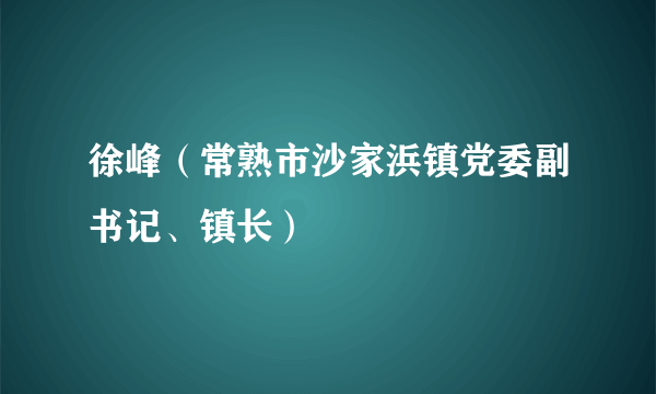 徐峰（常熟市沙家浜镇党委副书记、镇长）