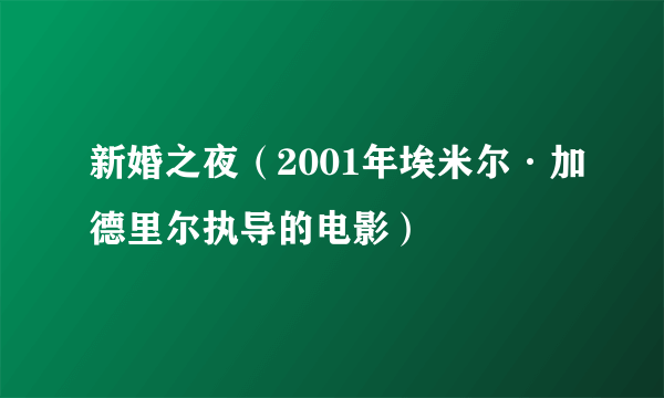 新婚之夜（2001年埃米尔·加德里尔执导的电影）