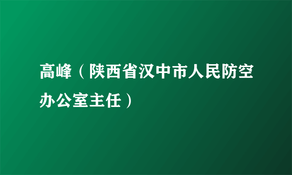 高峰（陕西省汉中市人民防空办公室主任）