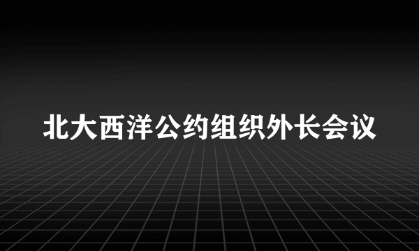 北大西洋公约组织外长会议