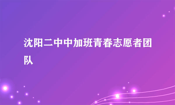 沈阳二中中加班青春志愿者团队