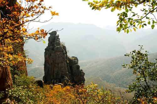 北票市鸟化石自然保护区