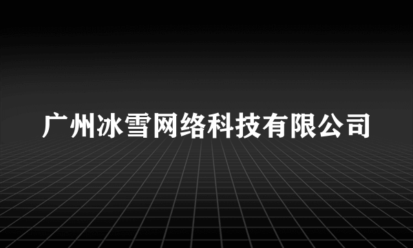 广州冰雪网络科技有限公司