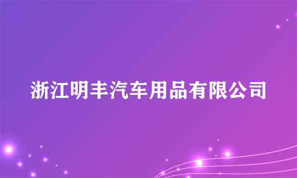 浙江明丰汽车用品有限公司