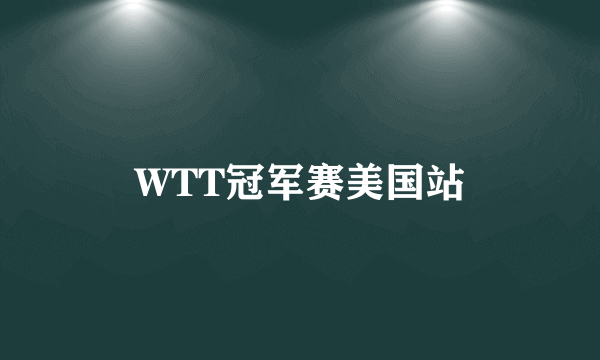 WTT冠军赛美国站