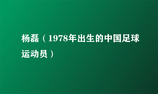 杨磊（1978年出生的中国足球运动员）