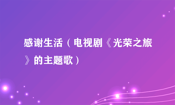 感谢生活（电视剧《光荣之旅》的主题歌）