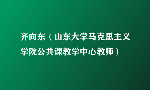 齐向东（山东大学马克思主义学院公共课教学中心教师）