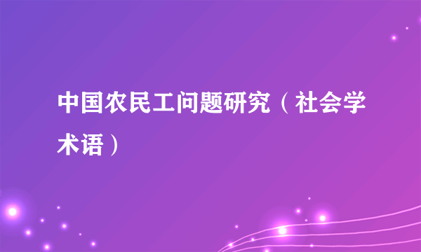 中国农民工问题研究（社会学术语）