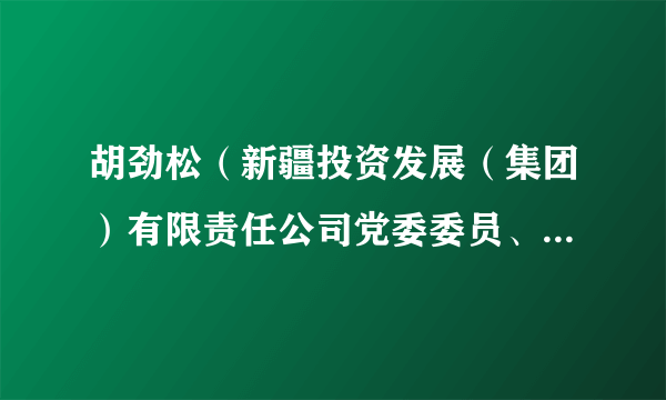 胡劲松（新疆投资发展（集团）有限责任公司党委委员、董事、副总经理、主管会计工作负责人）