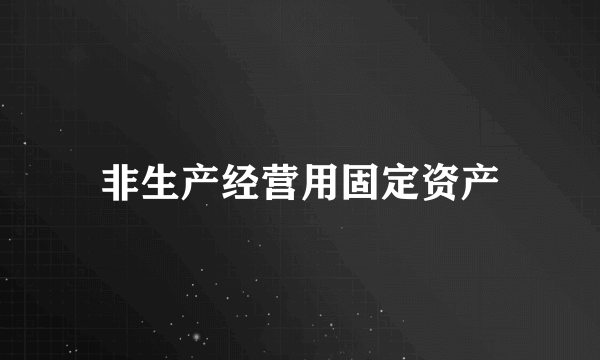 非生产经营用固定资产