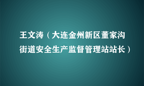 王文涛（大连金州新区董家沟街道安全生产监督管理站站长）