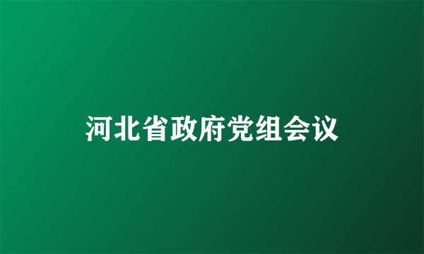 河北省政府党组会议