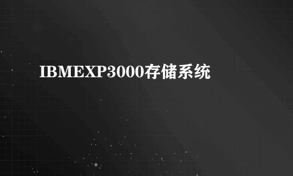 IBMEXP3000存储系统