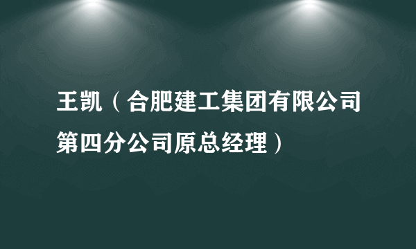 王凯（合肥建工集团有限公司第四分公司原总经理）