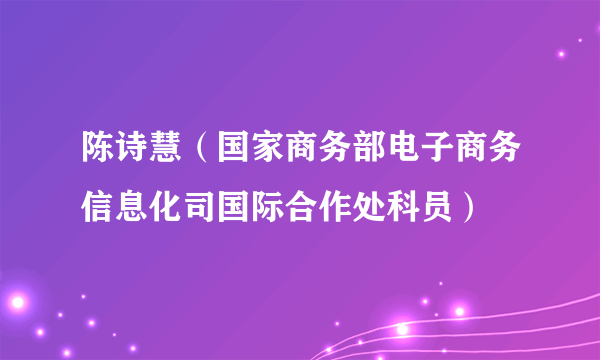 陈诗慧（国家商务部电子商务信息化司国际合作处科员）