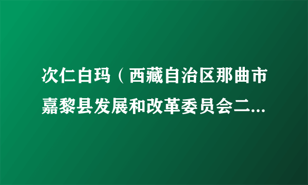 次仁白玛（西藏自治区那曲市嘉黎县发展和改革委员会二级主任科员）