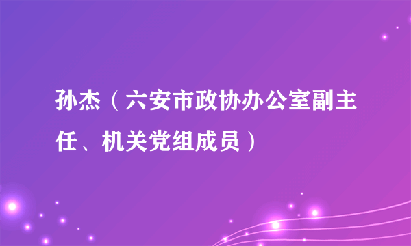 孙杰（六安市政协办公室副主任、机关党组成员）