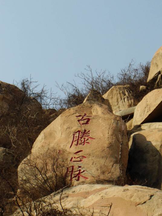 龙山风景区（浙江龙游龙山风景区）