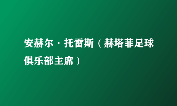 安赫尔·托雷斯（赫塔菲足球俱乐部主席）