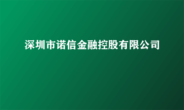 深圳市诺信金融控股有限公司